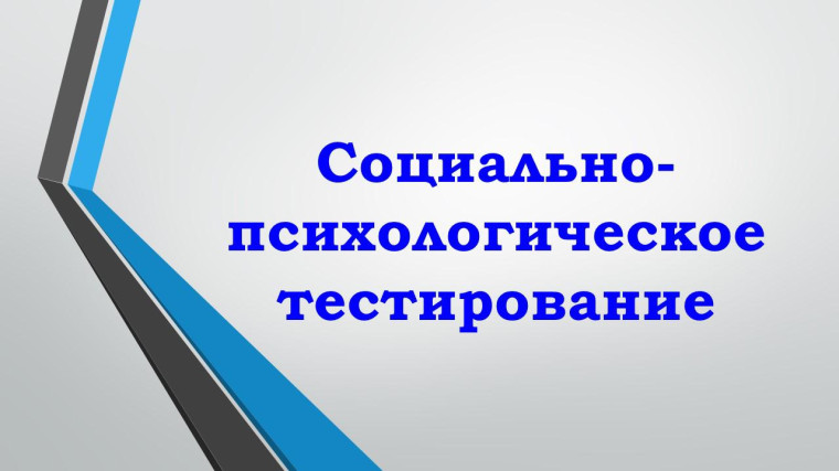 Социально- психологическое тестирование.